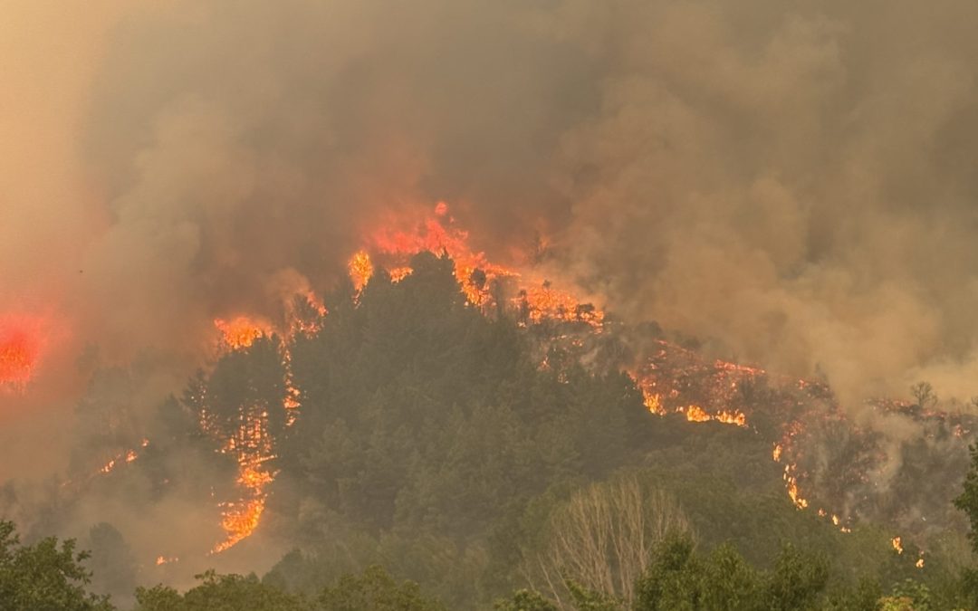 El cambio climático, acelerador de incendios: una nueva normalidad en el sector inmobiliario