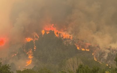 El cambio climático, acelerador de incendios: una nueva normalidad en el sector inmobiliario
