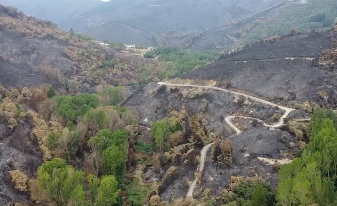 Desertificación e incendios: el impacto del cambio climático sobre el crédito y el valor inmobiliario