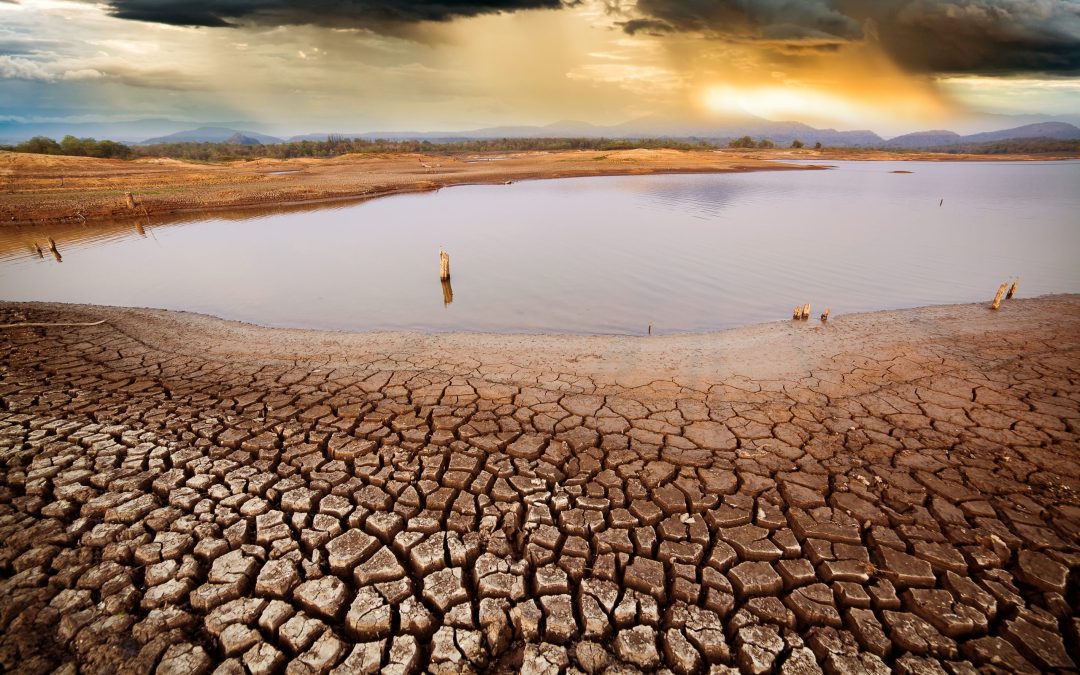 El cambio climático ya impacta en el precio de la vivienda: calor extremo y pérdida de valor en zonas vulnerables
