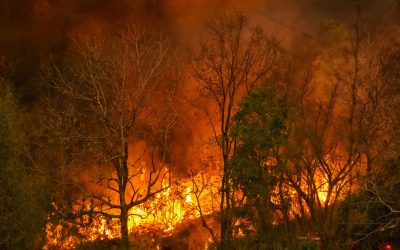 Riesgo climático inmobiliario: la factura de los incendios