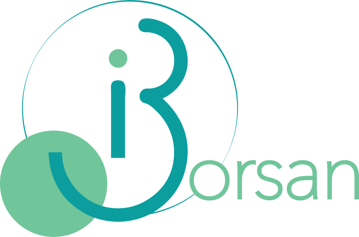 Borsan